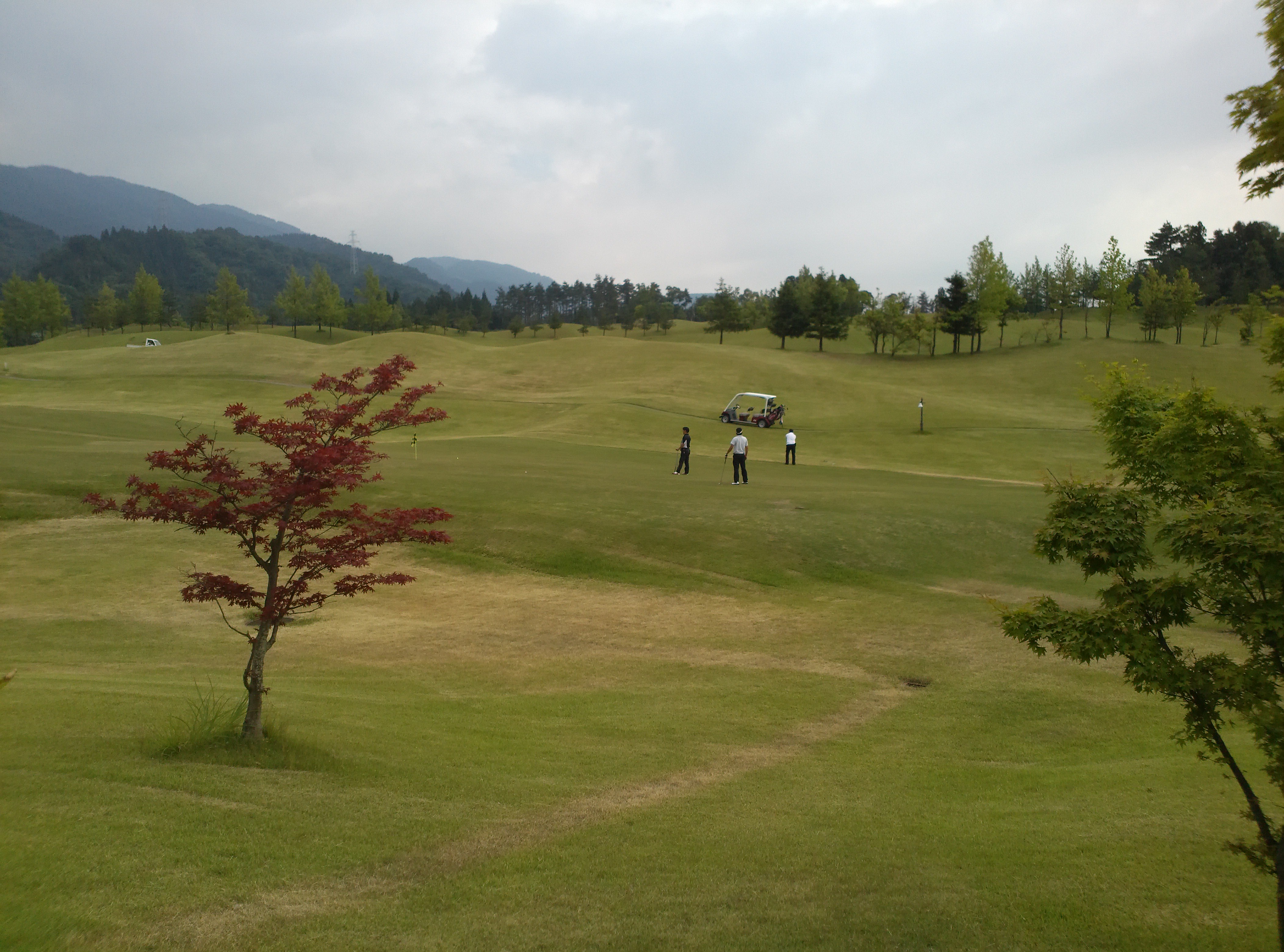 TOYAMA-IMPULSE WEBLOG: 青年部OB交流ゴルフ大会